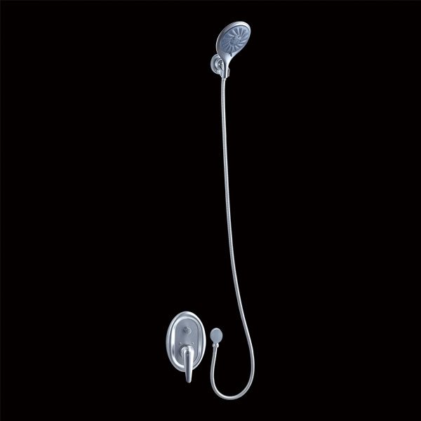 Concealed Shower AFNZ04