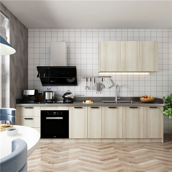 Kitchen Cabinet  One font 3