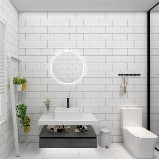 Bathroom Cabinet Wall-mounted TS02